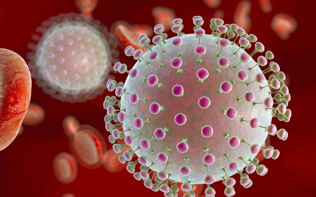 5 Fakten über das Zikavirus