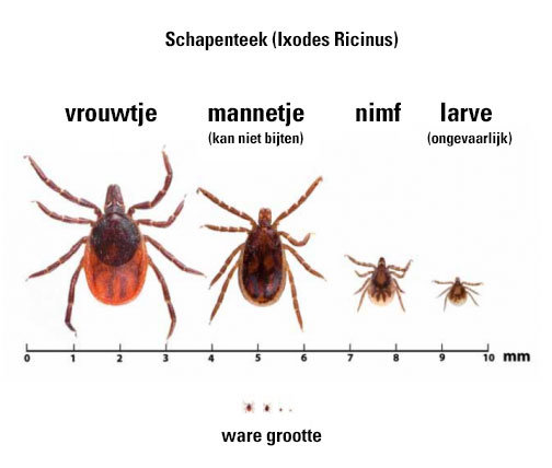 wat zijn teken eigenlijk