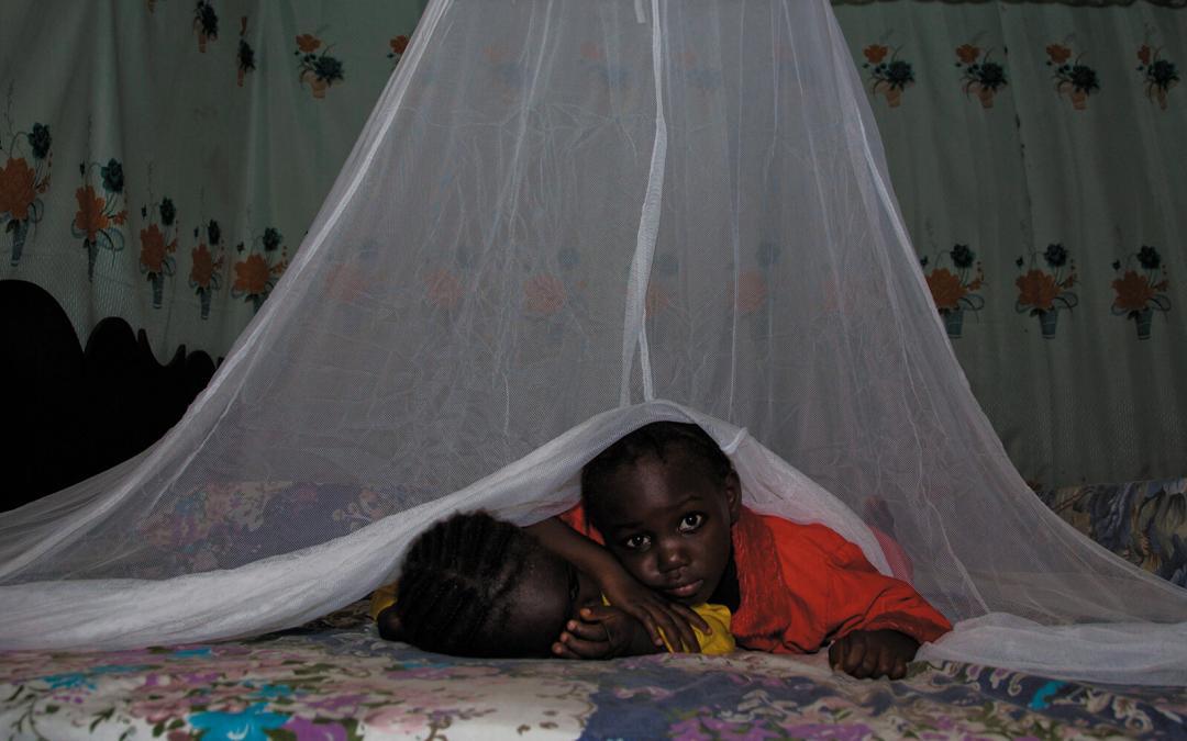 Wereld Malaria Dag