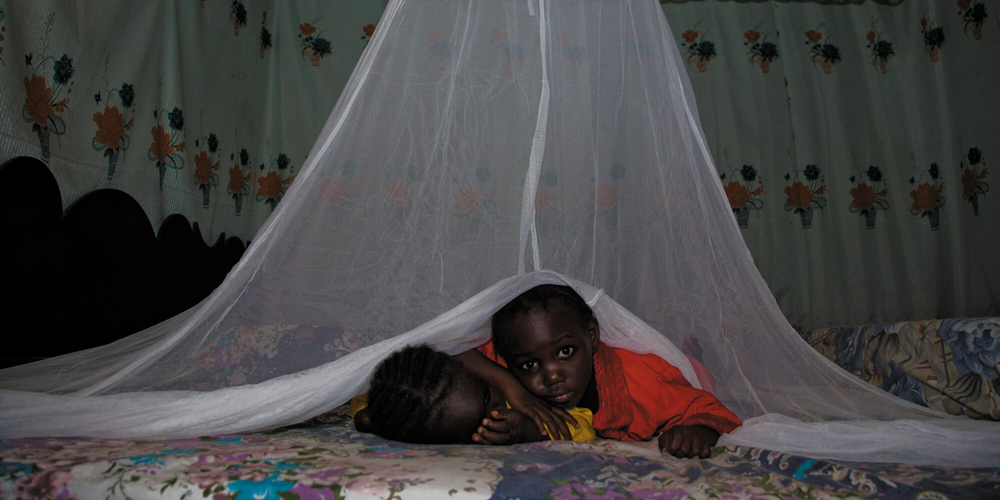 wereld malaria dag