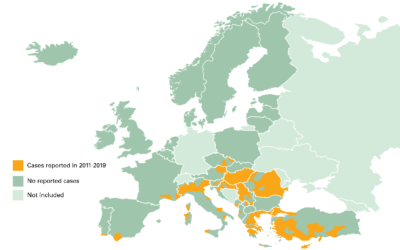 Tourists in Greece warned of mosquitoes with West Nile virus