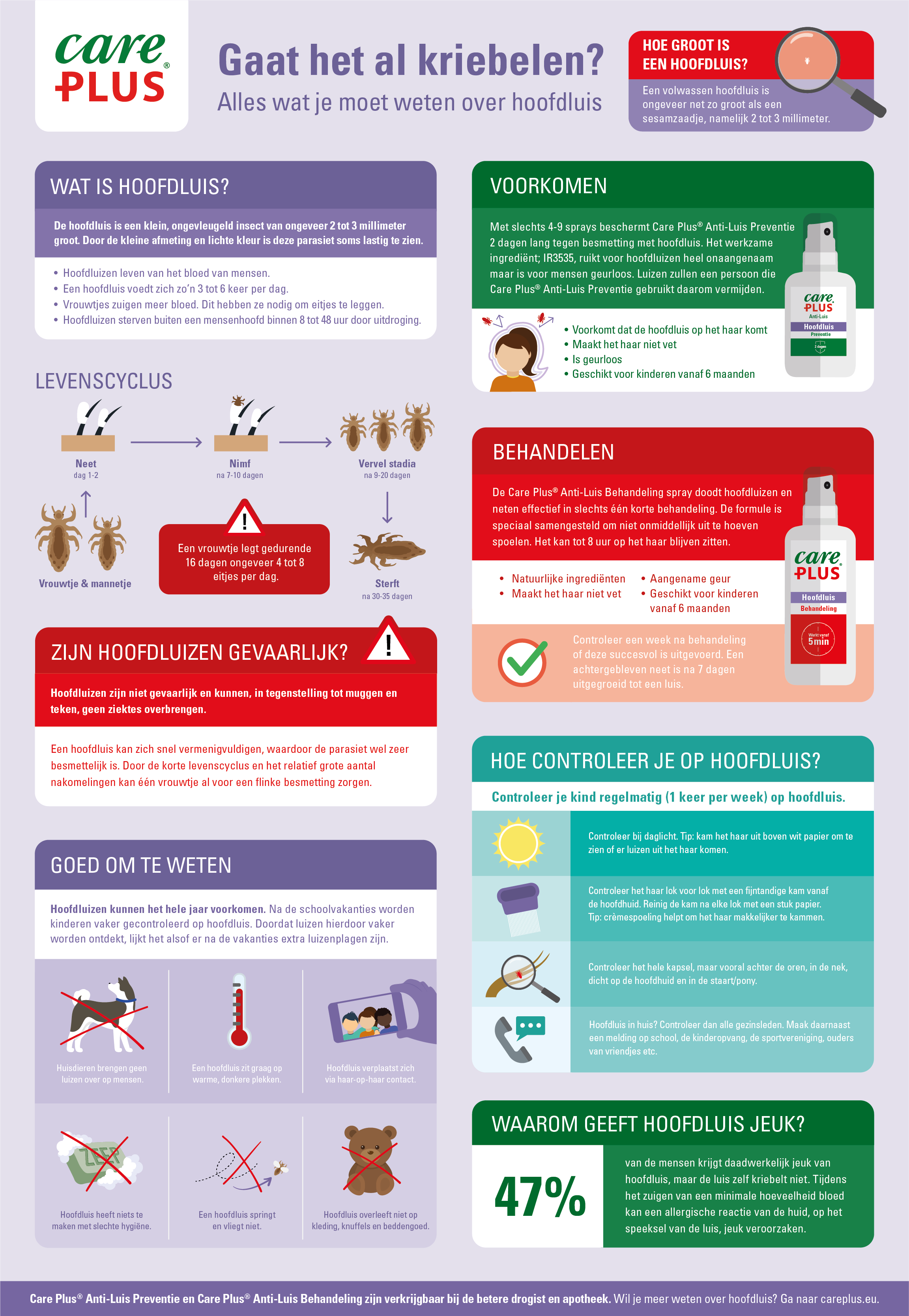 Hoofdluis infographic Infographic hoofdluis