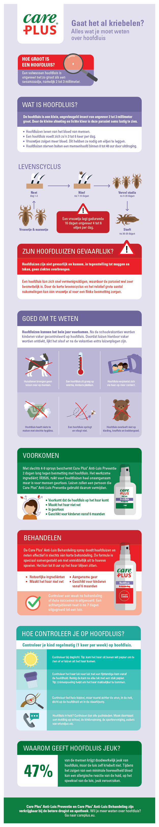 Luizen_Infographic Hoofdluis infographic