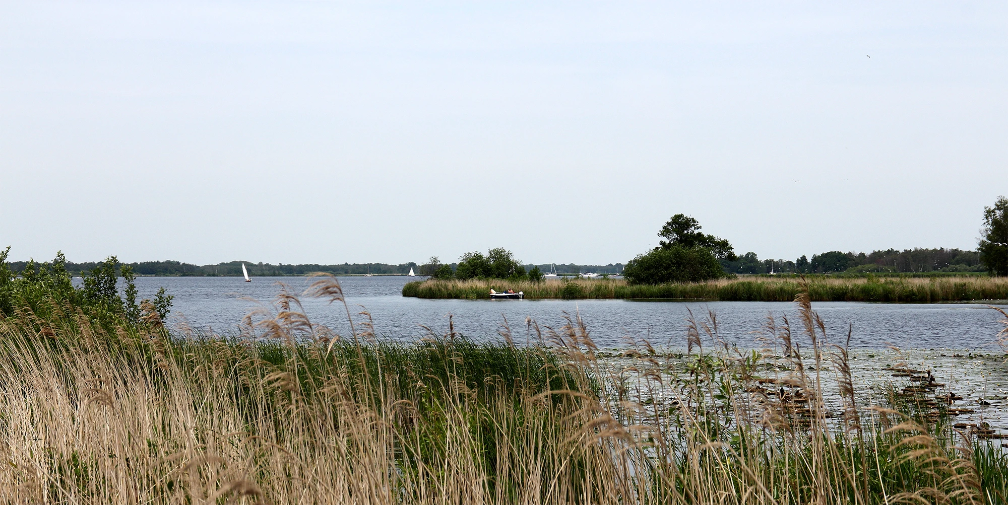 duurzame vakantie in Nederland - natuurgebied de Weerribben