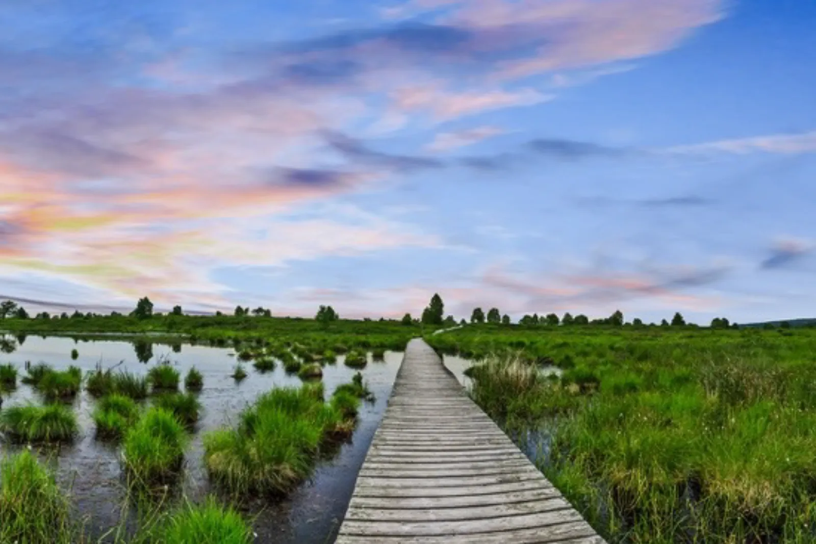 vakantie-belgie-hoge-venen Genieten van de Hoge Venen tijdens een vakantie in België